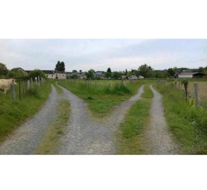 Gite Les Petits Chemins Ledeuix Exterior photo